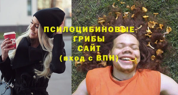 2c-b Богородицк