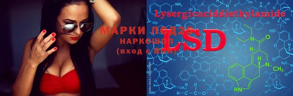 ПСИЛОЦИБИНОВЫЕ ГРИБЫ Белоозёрский