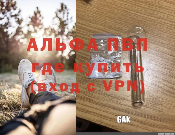 ГАЛЛЮЦИНОГЕННЫЕ ГРИБЫ Беломорск