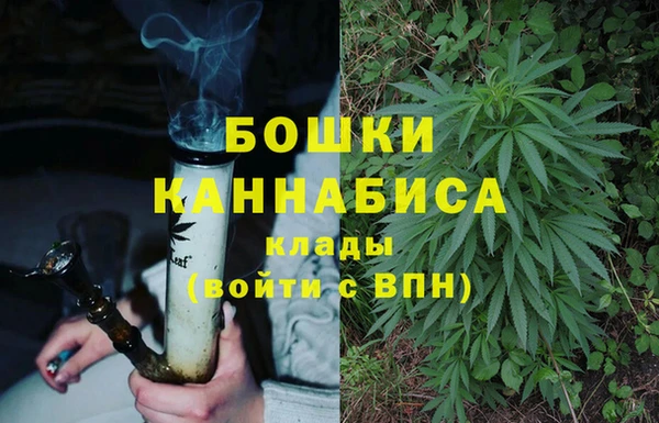 ALPHA-PVP Белокуриха