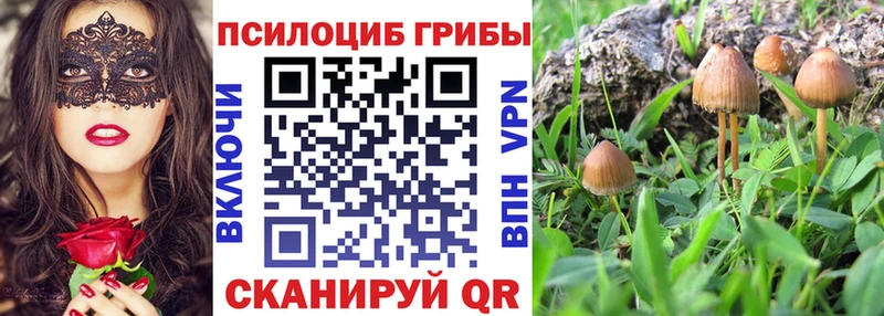 как найти закладки  Северск  Галлюциногенные грибы мухоморы 